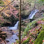 Charming 200 Yr Old Mill House Right On The Water Holiday home