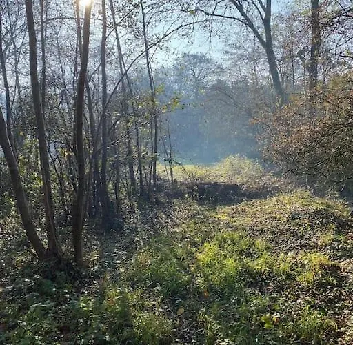 Charming 200 Yr Old Mill House Right On The Water * ブリストル