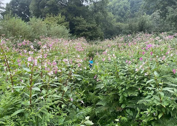 Charming 200 Yr Old Mill House Right On The Water Holiday home