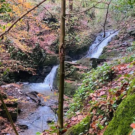 Charming 200 Yr Old Mill House Right On The Water 펜션
