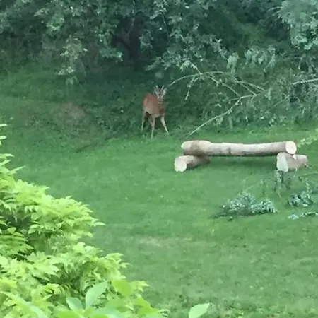 Charming 200 Yr Old Mill House Right On The Water 펜션