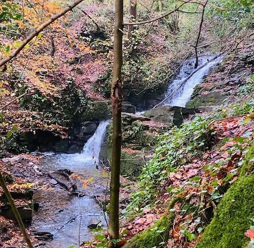 Charming 200 Yr Old Mill House Right On The Water Nyaraló