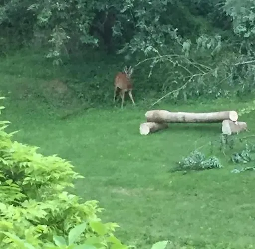Charming 200 Yr Old Mill House Right On The Water Nyaraló